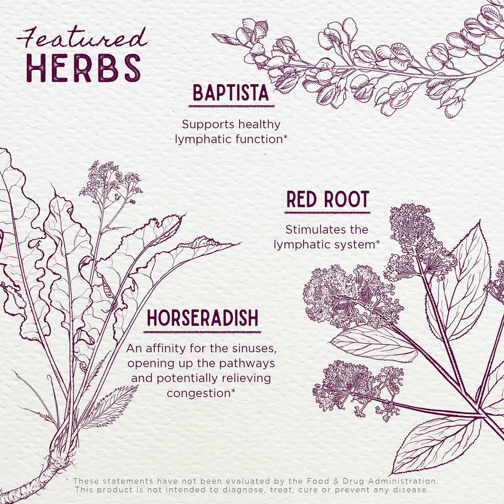 wishgarden-herbs-kick-ass-sinus-congesti-91SL2CedcnL.jpg