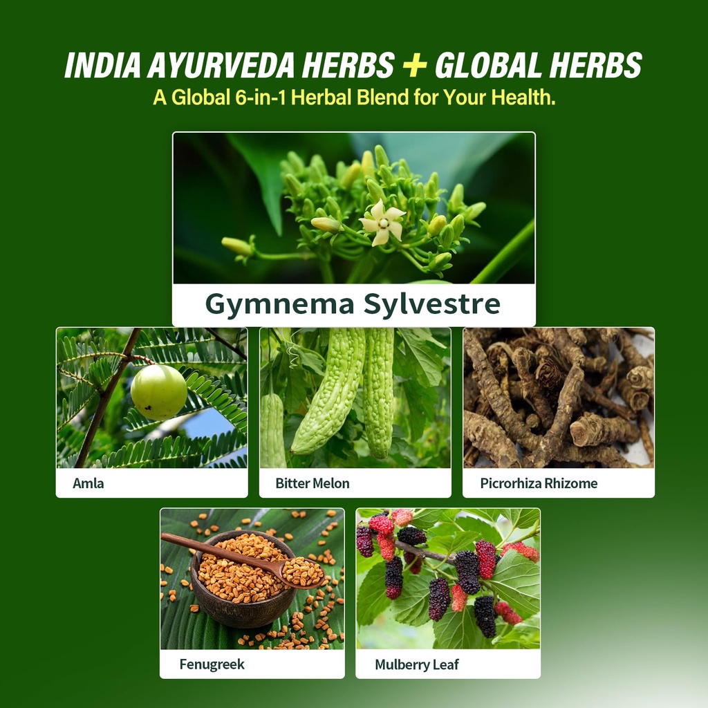 gymnema-gymnema-sylvestre-drops-for-ener-713OA-PQ7AL.jpg