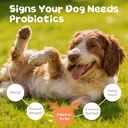 probiotics-for-dogs-dog-probiotics-120-s-71Cj4smg2KL.jpg