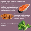 lifelink-s-colloidal-trace-minerals-100--81vEALAQJoL.jpg