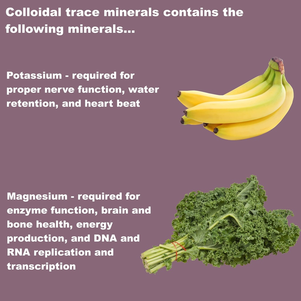lifelink-s-colloidal-trace-minerals-100--71eW1X4pg+L.jpg
