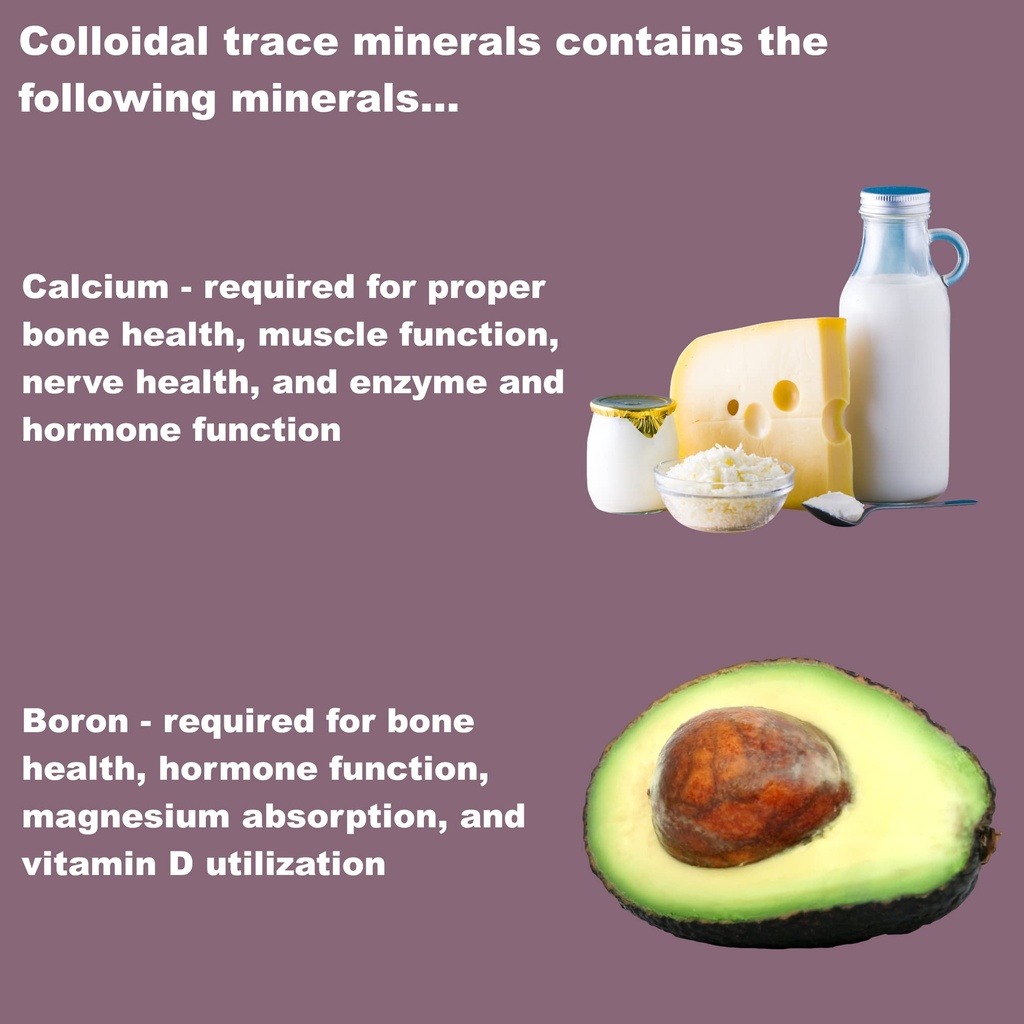 lifelink-s-colloidal-trace-minerals-100--71zicgzNiDL.jpg