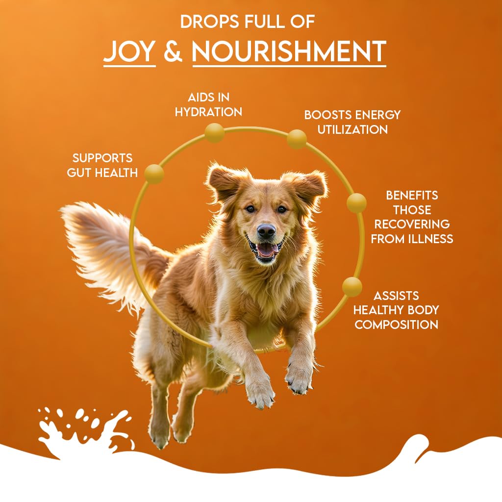 pawfect-nature-s-sip-goat-milk-powder-wi-61Oj6B42ozL.jpg