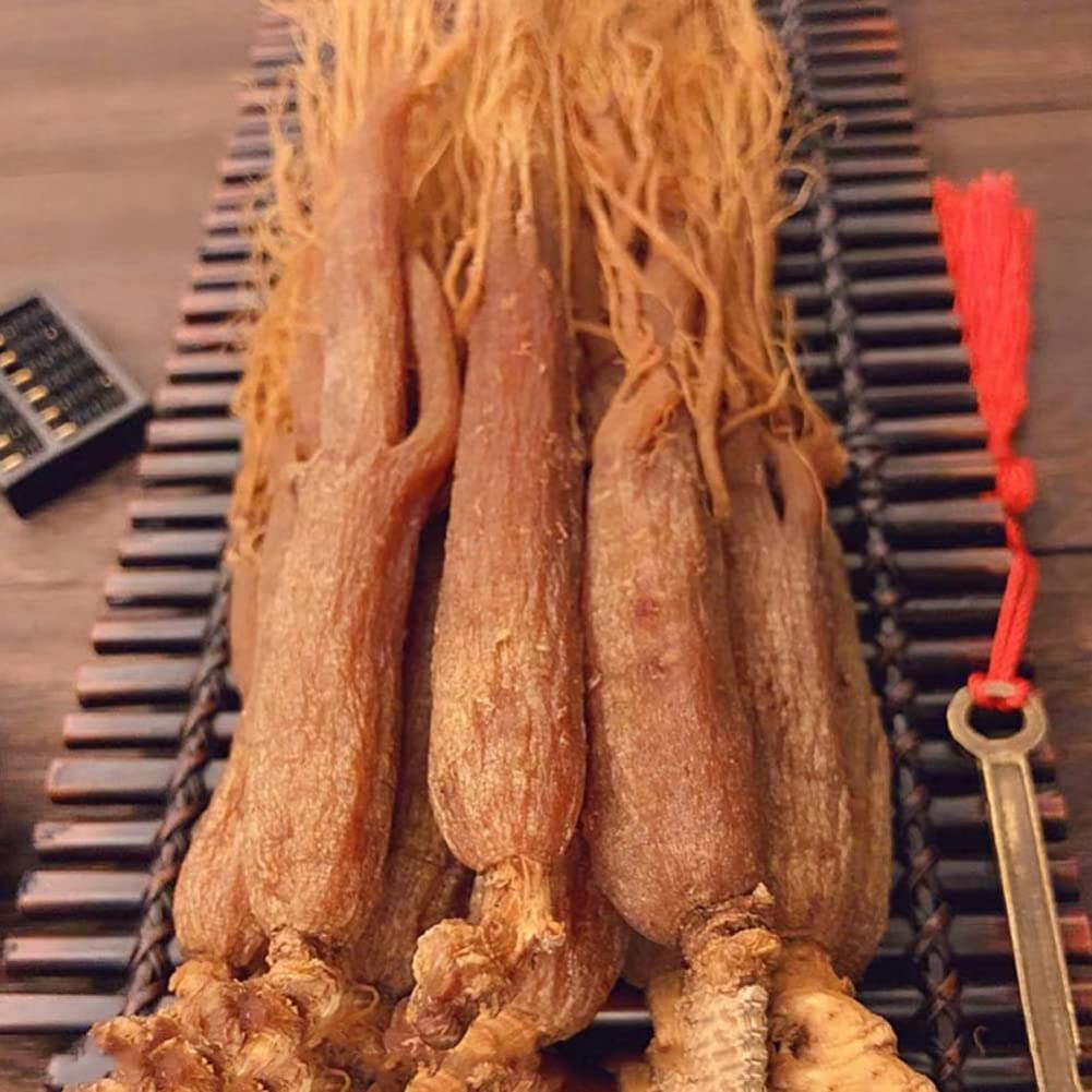 red-ginseng-root-red-ginseng-korea-red-g-61QUo9Fo5NL.jpg