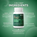 gui-5-in-1-nad-nicotinamide-riboside-wit-61RfvaFEkZL.jpg