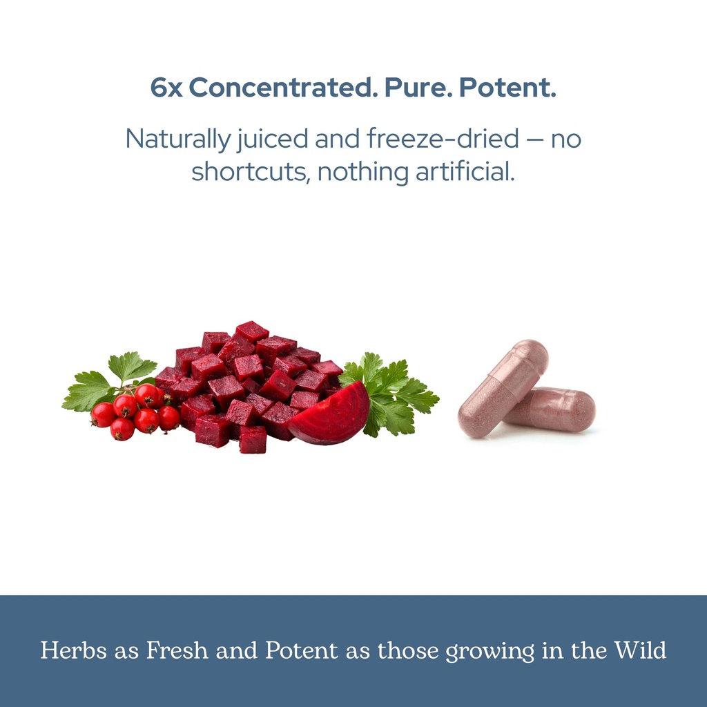 eclectic-herb-hbp-complete-capsules-circ-71jG8xJWMyL.jpg