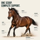 100-day-supply-horse-joint-supplement-po-81lAFfRhB2L.jpg