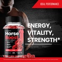horse-boost-for-men-gummies-official-hor-81335-a4GuL.jpg