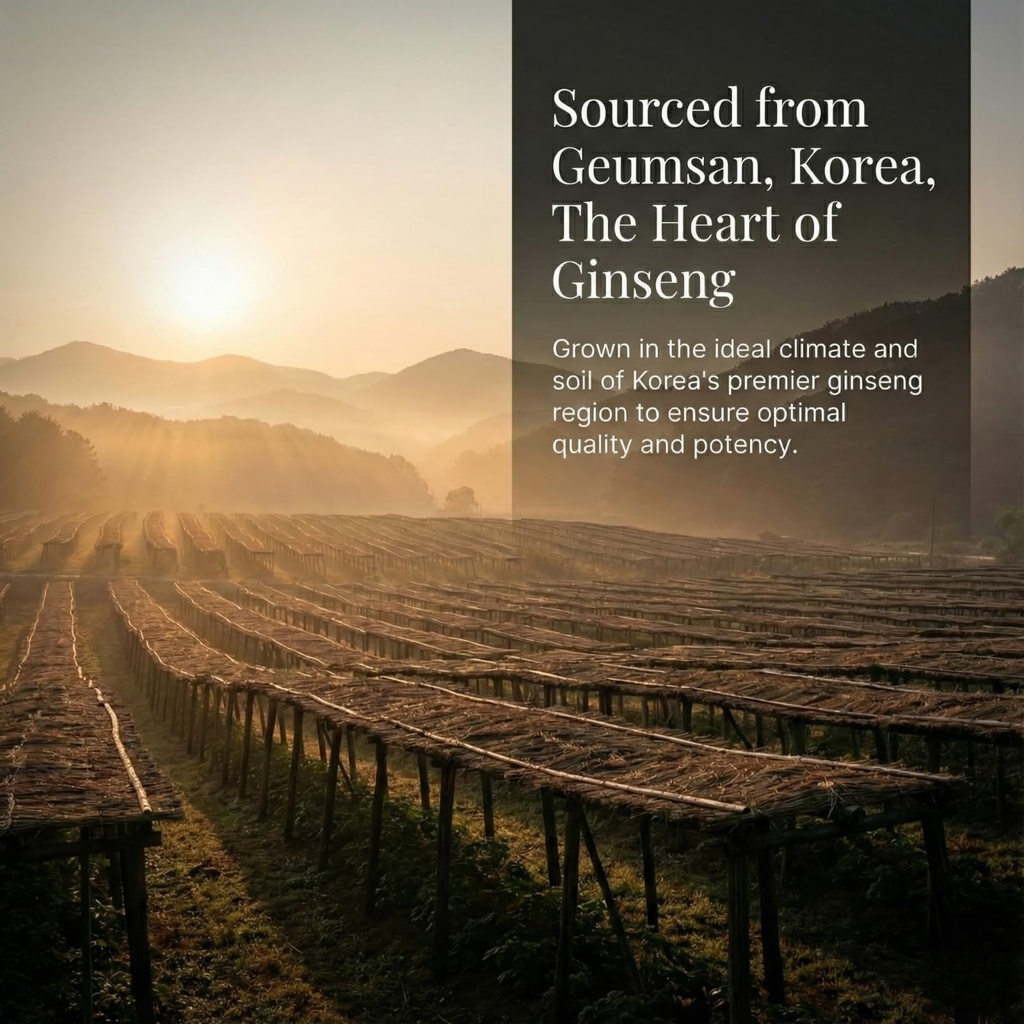 korean-red-ginseng-prime-liquid-extract--71sU-1bcJgL.jpg