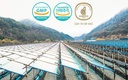 gangwoninsam-korean-red-ginseng-extract--713YZhppJwL.jpg