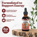 active-ginseng-korean-red-panax-ginseng--81aMPcefZ3L.jpg