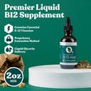 rejuvica-health-active-ginseng-active-b1-81qcRN0shvL.jpg