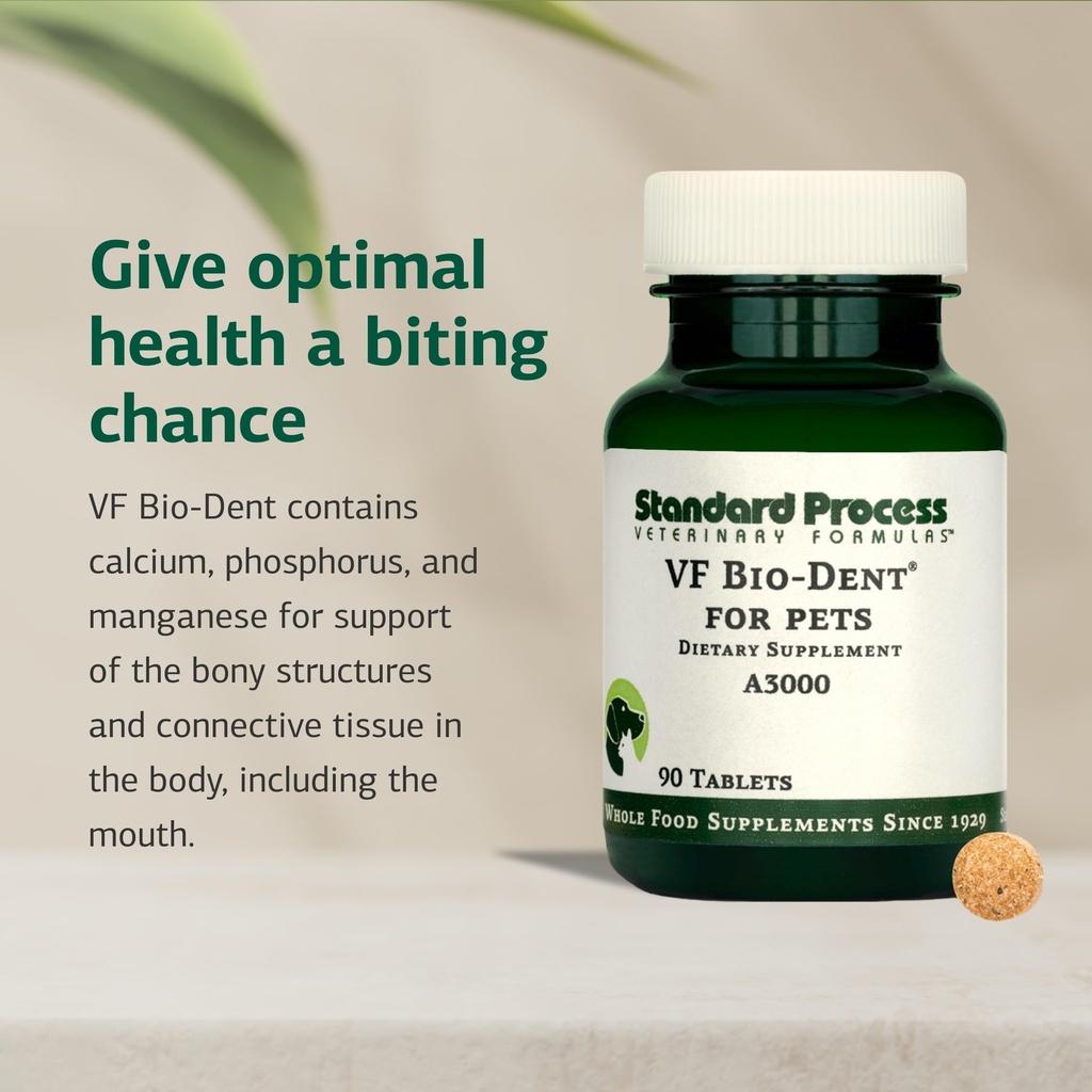 standard-process-vf-bio-dent-for-pets-90-71nzXXwflEL.jpg