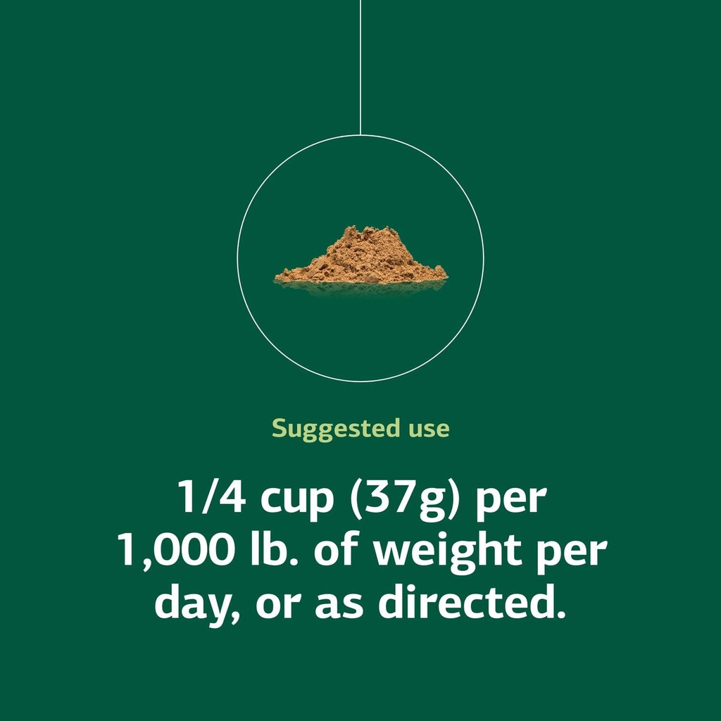 standard-process-equine-metabolic-suppor-61x8x0qUmTL.jpg