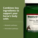 standard-process-equine-metabolic-suppor-610xCzXhl1L.jpg