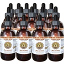 hawaii-pharm-dong-quai-liquid-extract-ch-71xhUZqRCSL.jpg