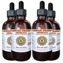 hawaii-pharm-dong-quai-liquid-extract-ch-71zR1h2z8BL.jpg
