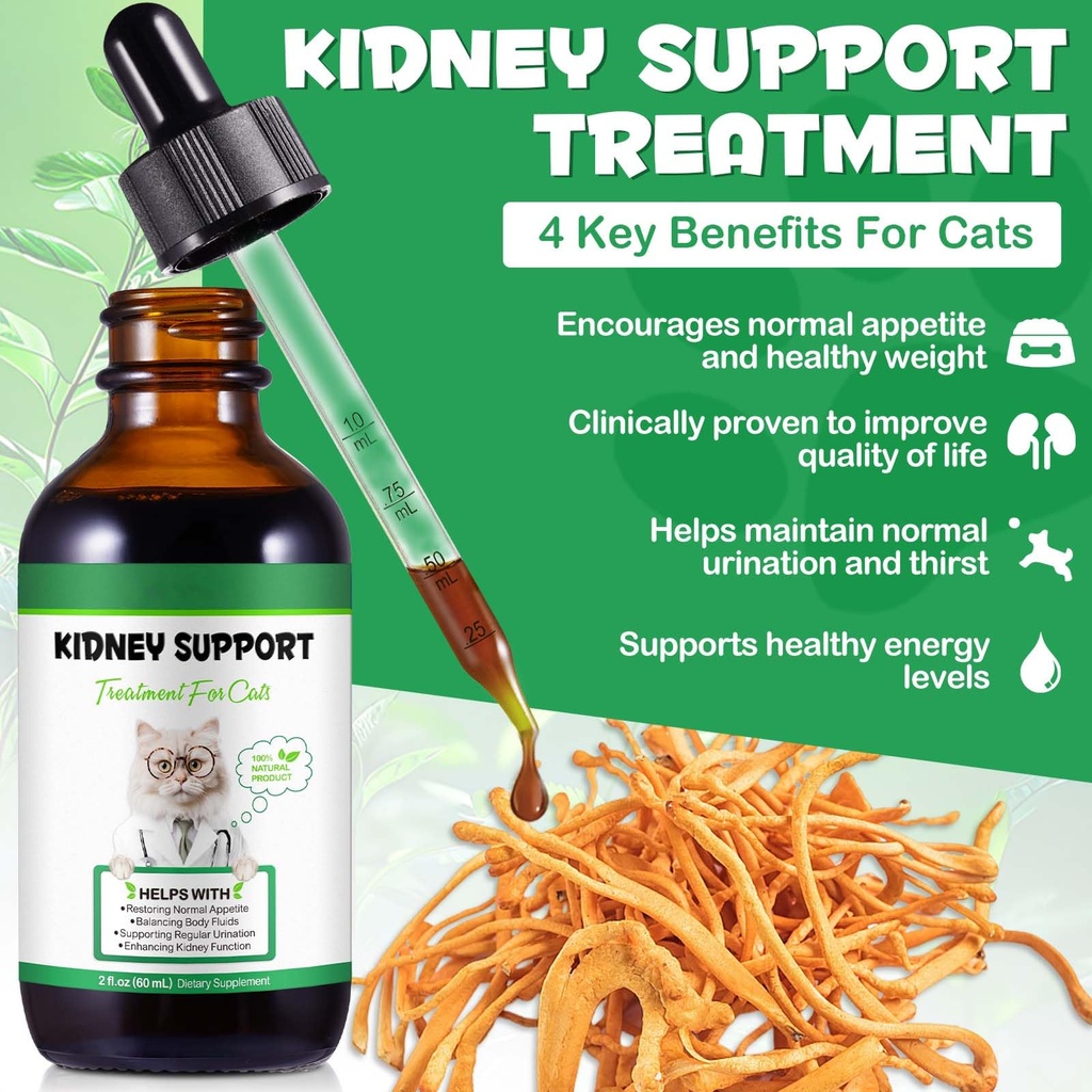 kidney-support-for-cats-cat-kidney-treat-71eA2j2NIzL.jpg