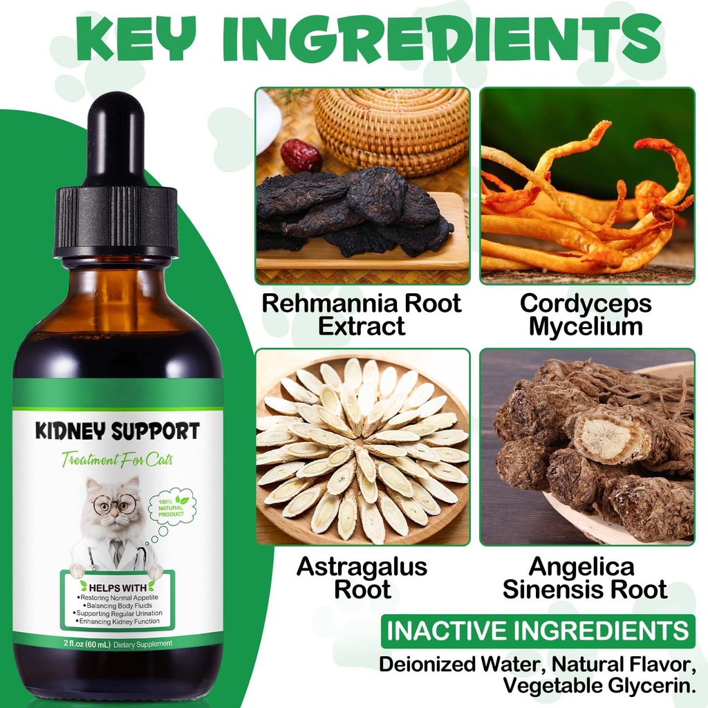 kidney-support-for-cats-cat-kidney-treat-81Hr-gtayrL.jpg