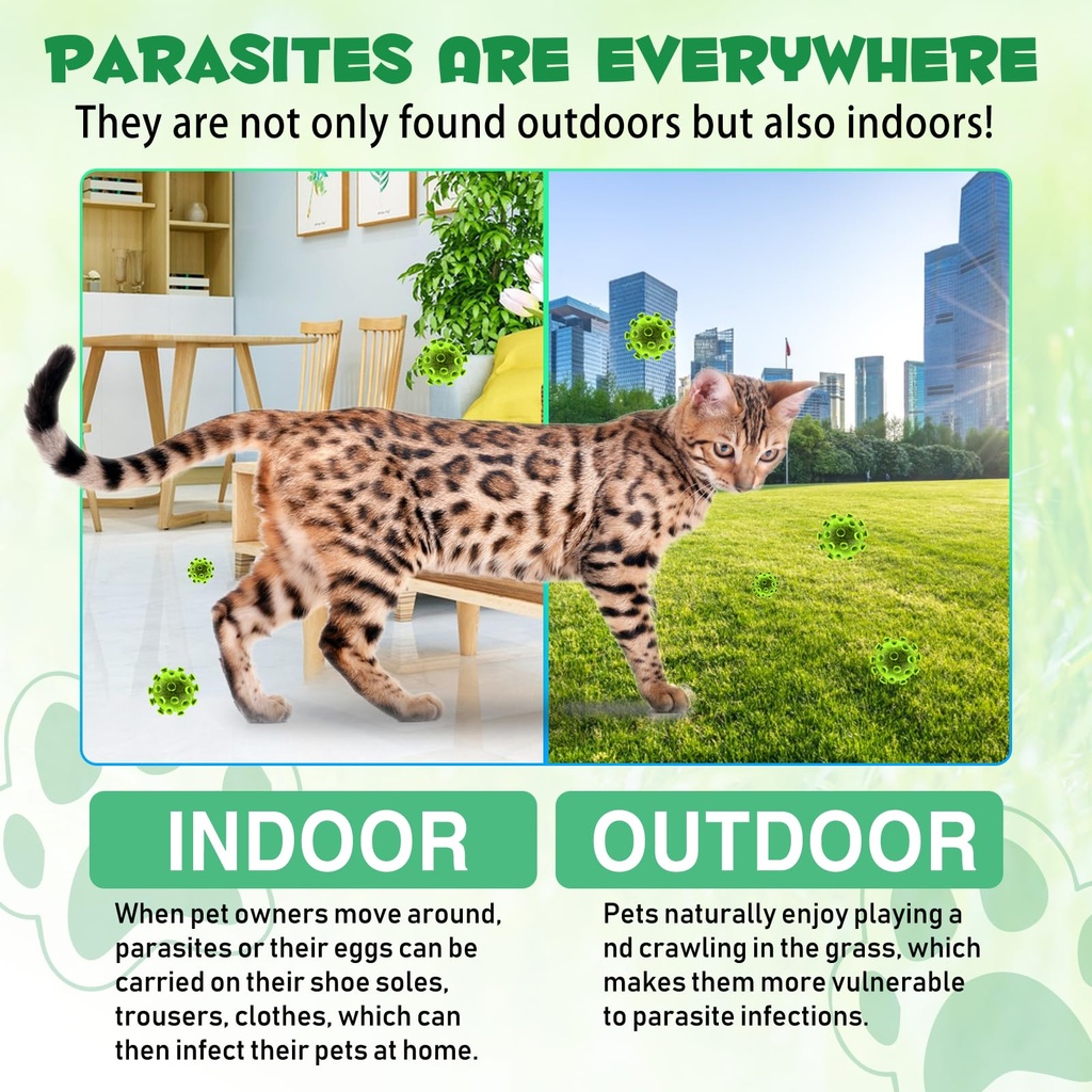 specifically-formulated-for-cats-kidney--81F3EYYU8cL.jpg
