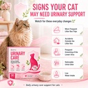 cat-urinary-bladder-support-lickable-sti-71J2qKqTqkL.jpg