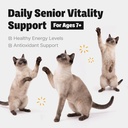 kidney-support-for-senior-cats-lickable--71004tbidGL.jpg