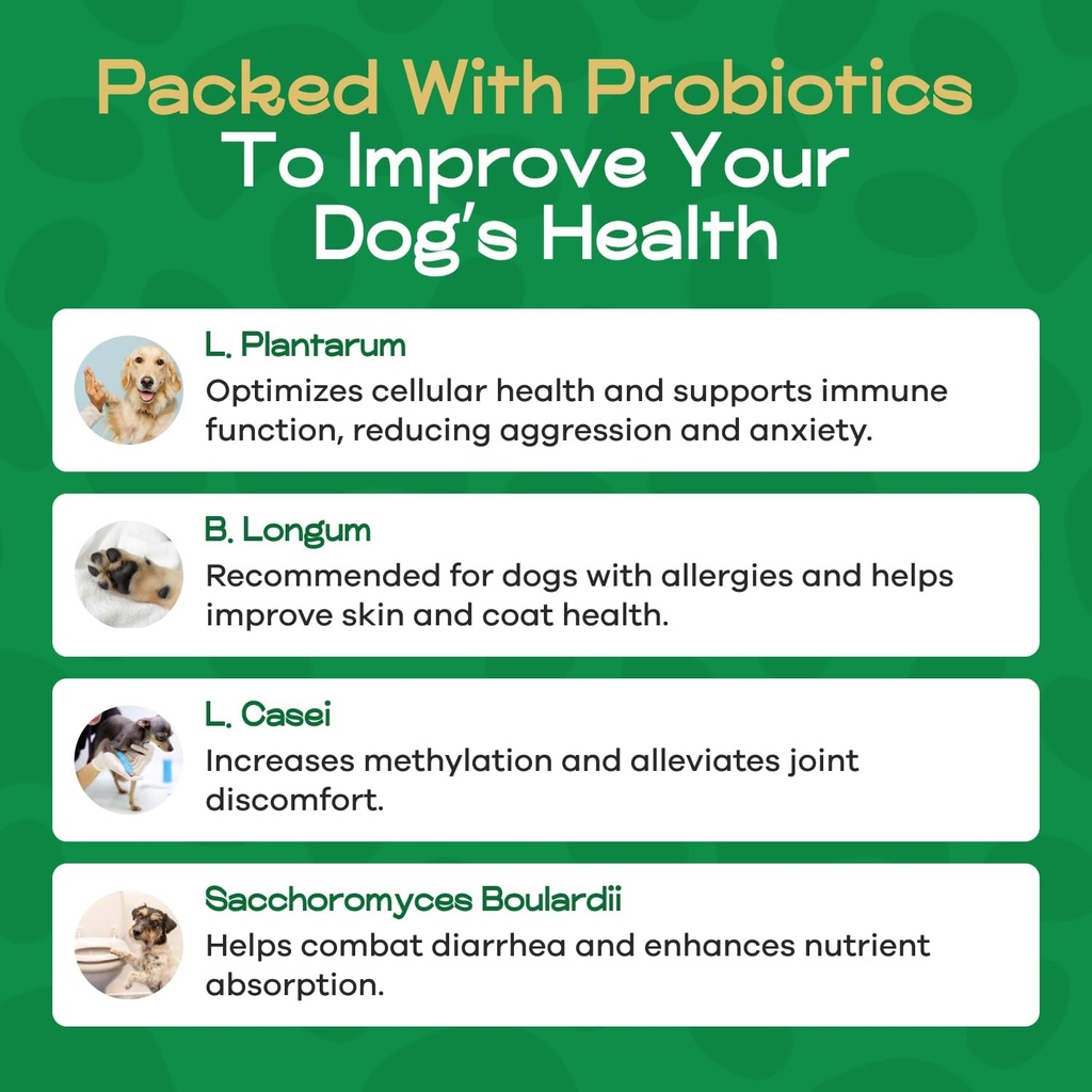 dog-probiotics-for-digestive-health---pr-5.jpg