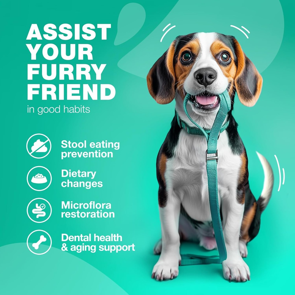 no-poo-chewables-for-dogs---enzymes-dog--2.jpg