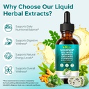 organic-soursop-bitters-drops-for-energy-81FUYmYWSxL.jpg