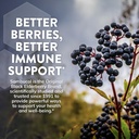sambucol-black-elderberry-day-night-reli-81Fo3cnw+oL.jpg