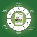 nature-s-will-pure-ready-to-use-neem-oil-71wTcEEnjLL.jpg