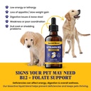 special-breed-liquid-vitamin-b12-for-dog-815HEsSmLmL.jpg