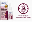 equate-original-nasal-spray-12-hour-reli-61MXBOG52WL.jpg