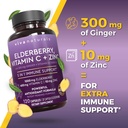 viva-naturals-elderberry-with-vitamin-c--81vzg4tBLsL.jpg
