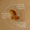 new-chapter-wholemega-whole-fish-oil-60--71byhCJBtOL.jpg