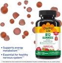 country-life-vitamin-b12-gummies-850-mcg-2.jpg
