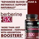 berberine-capsules-500mg-high-potency-pl-81UpUXi5SQL.jpg