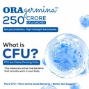 daily-probiotics-250-crore-cfu-per-sache-71dJkwGvERL.jpg