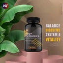 vitaminhaat-pre-probiotics-30-billion-cf-617E0AHOQYL.jpg