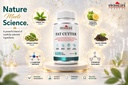 swisslife-forever-fat-burner-tablets-for-71d+irVHuQL.jpg