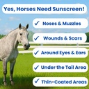 sit-stay-forever-organic-sunscreen-moist-2.jpg
