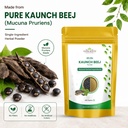 kaunch-beej-100-pure-mucuna-pruriens-see-71bM1kUSP-L.jpg