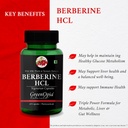 berberine-hcl-magnesium-glycinate-forte--61AXHhT7-oL.jpg