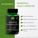 moringa-oleifera-powder-neemint-oil-well-61k3vWAxvuL.jpg