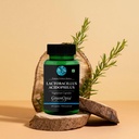 lactobacillus-vitamin-c-wellness-daily-v-71HG3ILqKSL.jpg