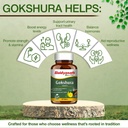 baidyanath-ayurved-gokshura-60-tablets-s-61-1ZdOBR0L.jpg