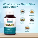bliss-welness-gut-detox-trikatu-isabgol--71tABxih62L.jpg