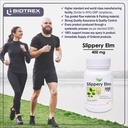 biotrex-nutraceuticals-slippery-elm-400m-81o1VyeecML.jpg