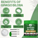 sylara-brain-booster-supplement-with-gin-71bmRdw9YfL.jpg