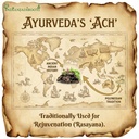 indianjadibooti-dried-noni-fruit-morinda-71f3Rair3pL.jpg